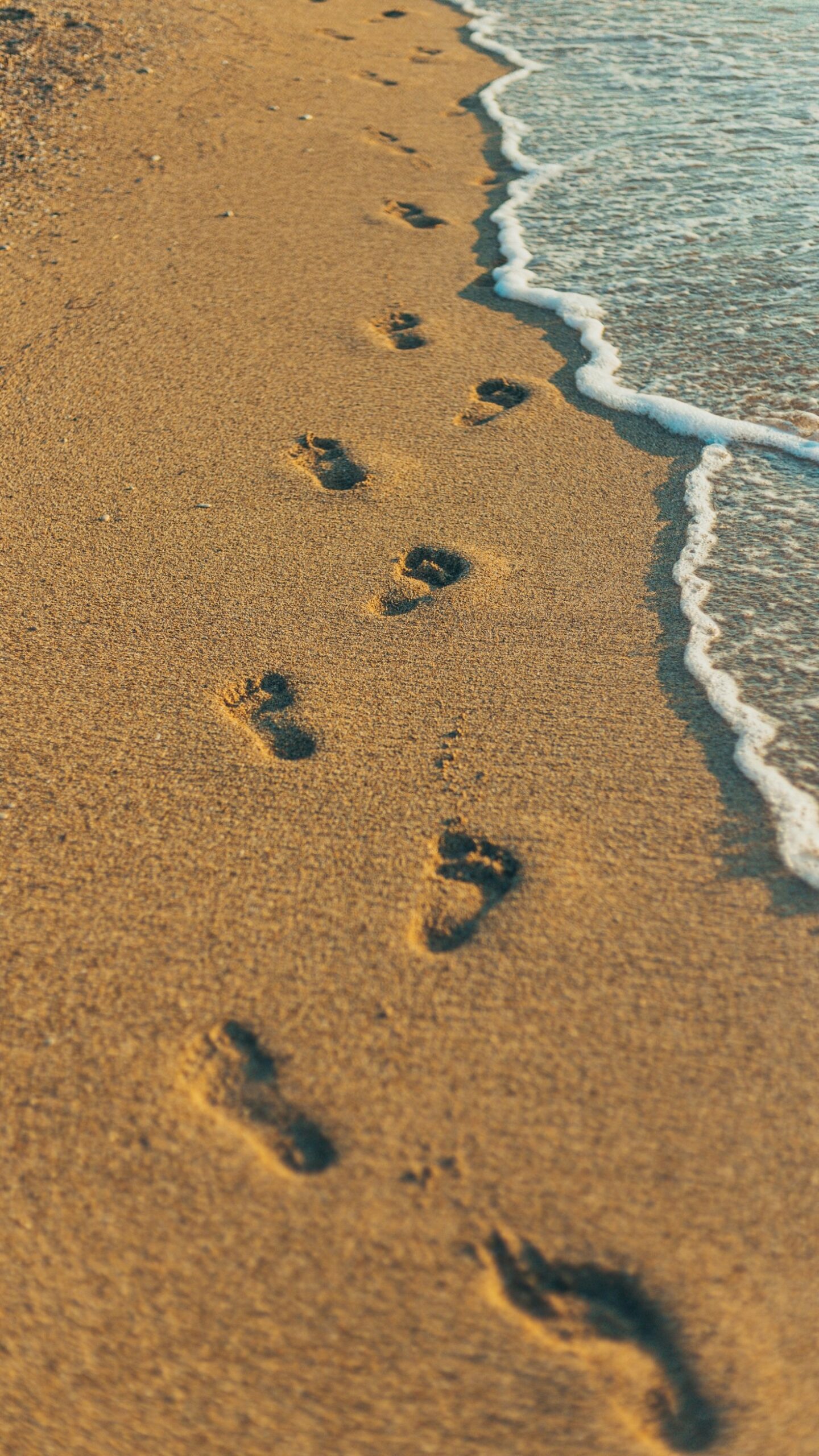 Exploring the World: Tailored Tips from Travelers